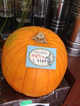 Halloween｜「花豊」　（静岡県袋井市の花キューピット加盟店 花屋）のブログ