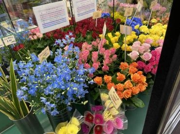 様々な花達｜「花豊」　（静岡県袋井市の花キューピット加盟店 花屋）のブログ