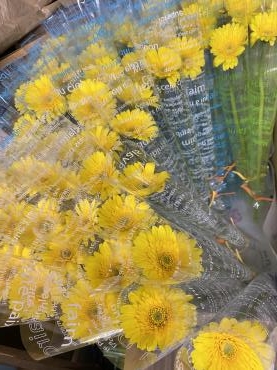 1本ラッピング｜「花豊」　（静岡県袋井市の花キューピット加盟店 花屋）のブログ